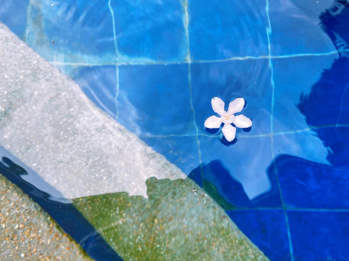 פוארטו גאלרה Molly Resorts מראה חיצוני תמונה